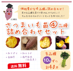 さつまいも苗 詰め合わせセット 10本×4品種 【予約販売 芋づる さつまいも 苗】