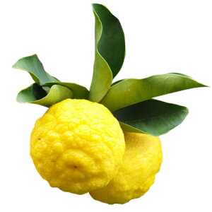 kނ̕c y Mq i 䂸 j 2Nc z [ _k  񂫂 JLc k c ]