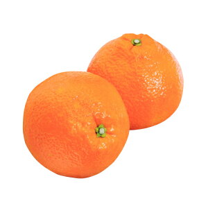 kނ̕c y ɗ\ i 悩 j 1Nc z [ G IW 񂫂 JLc k c ]