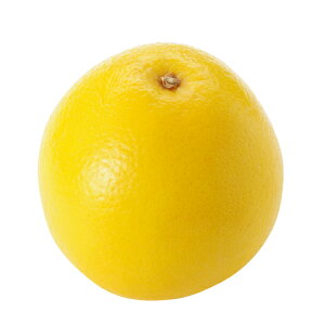 kނ̕c y O[vt[c 2Nc z [ G 񂫂 JLc k c ]