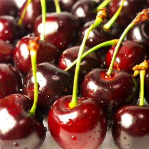 ʎc TN{ y AJ`F[ 1Nc z [   `F[ ʎc ̔ ]