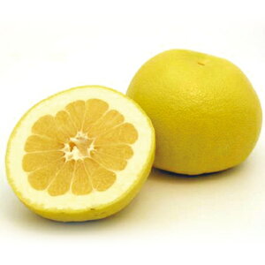 kނ̕c y XEB[eB[ 1Nc z [ G IW 񂫂 JLc k c ]