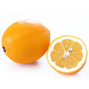  c y }C[ 1N c z [ _k  񂫂 JLc k c ]