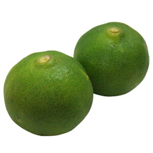 kނ̕c y V[N[T[ 2Nc z [ _k  񂫂 JLc k c ]