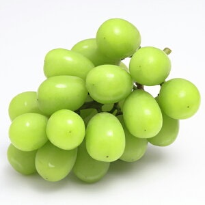 ʎc Ԃǂ yVC}XJbgz i VC}XJbg@io^ԍ 13891