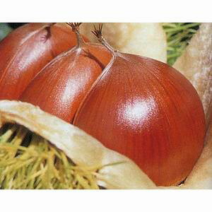 ʎc I yɑOg 1Nc z [  N ʎc ̔ ]