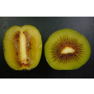 ʎc LEC y g 1Nc z [ L[C ʎc ̔ ]