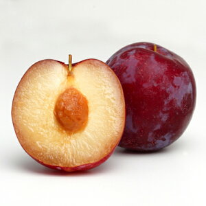 ʎc X y v z 1Nc z [   ʎc ̔ ]