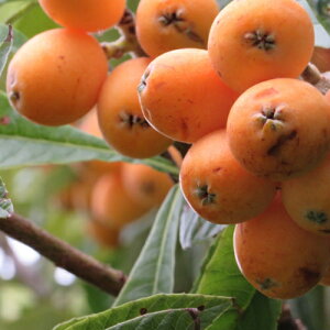 ʎc r y NB[ 1Nc z [ f т ʎc ̔ ]