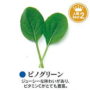 xr[[t  y tsmO[iӐj z q ܁i1dlj i   ؎q ؎ j