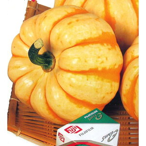 ���ڂ��� �� �y�v�b�`�B�[�j�z ���� �i �� ��� ��؎�q ��؎� �v�b�`�[�j�j