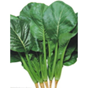   yӐ؁z 50ml i   ؎q ؎ j