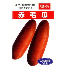 ウリ 種 【 沖縄赤毛瓜 】 種子 小袋（約3ml） （ 種 野菜 野菜種子 野菜種 ）