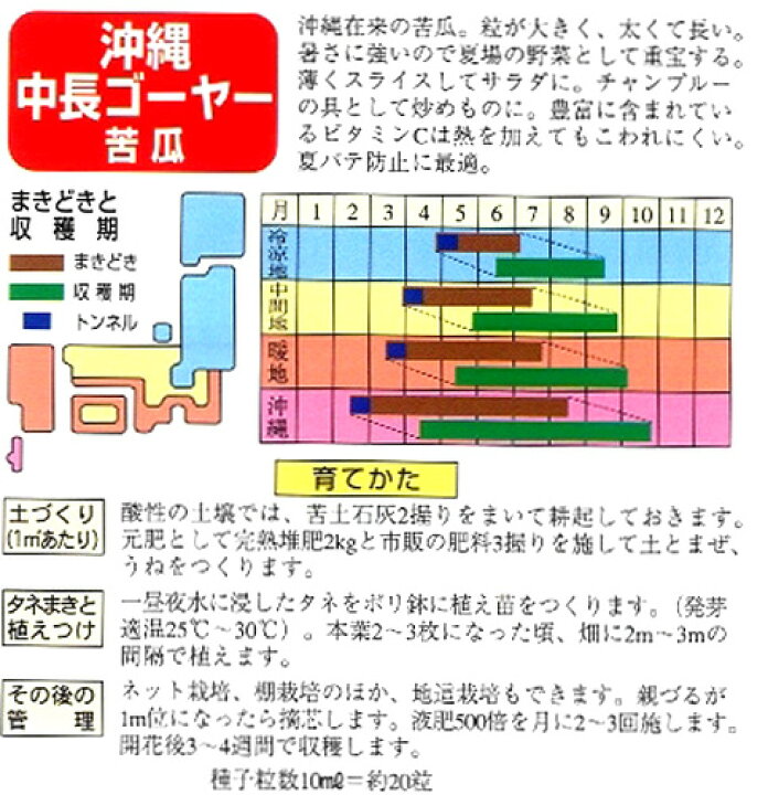 楽天市場】ゴーヤ 種 【沖縄中長苦瓜】 10ml ( 種 野菜 野菜種子 野菜種 ) : 【菜園くらぶ】家庭菜園の専門店 楽天市場】ゴーヤ 種 【沖縄中長苦瓜】 10ml ( 種 野菜 野菜種子 野菜種 ) : 【菜園くらぶ】家庭菜園の専門店