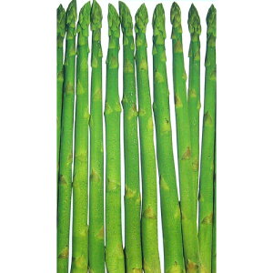 AXpKX  yEFJz  i   ؎q ؎ j