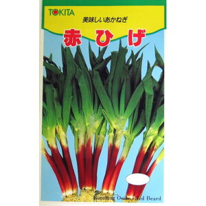 lM  y ԂЂ z q ܁i20mlj i   ؎q ؎ j