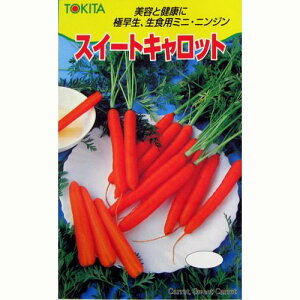 ɂ񂶂  y XC[gLbg z q ܁i20mlj i   ؎q ؎ j