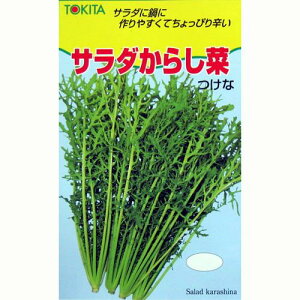 Ђ  y T_炵 z q ܁i11mlj i   ؎q ؎ j 