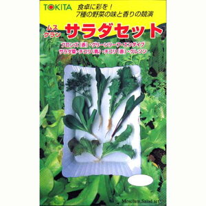 yT_Zbgz  i   ؎q ؎ j 