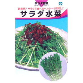 水菜 種 【 サラダ水菜 】 種子 小袋（約7ml） （ 種 野菜 野菜種子 野菜種 ）