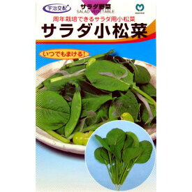 小松菜 種 【サラダ小松菜】 小袋（約7ml） （ 種 野菜 野菜種子 野菜種 ）