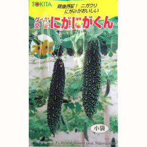 S[  yɂɂz  i   ؎q ؎ j 