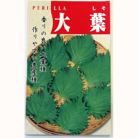 楽天市場 しそ 苗の通販