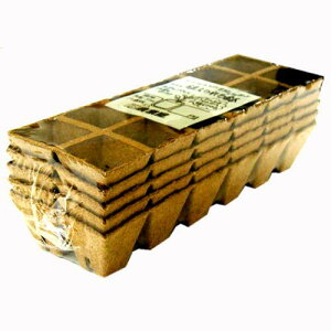 WtB[|bg p^ 12A(5cm)5