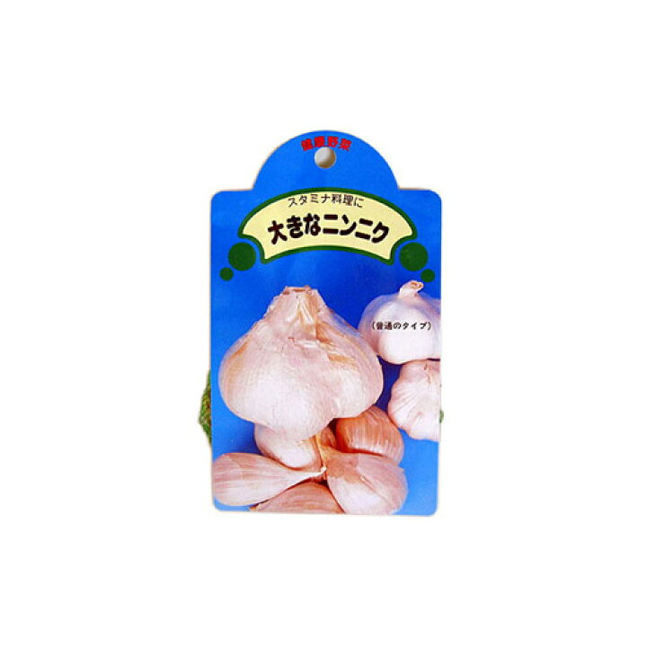 楽天市場 にんにく ジャンボニンニク 種球 約150g 国産 葫 球根 種 菜園くらぶ 家庭菜園の専門店