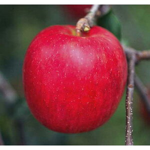 ʎc ь y Ìy i  j 1Nc z [  S ʎc ̔ ]