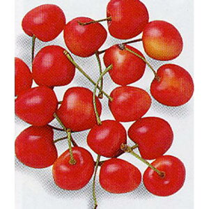 ʎc TN{ y i|I 1Nc z [   `F[ ʎc ̔ ]