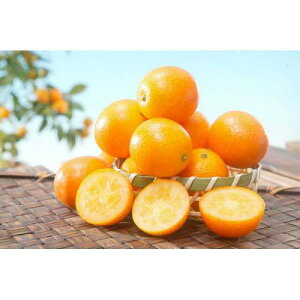 kނ̕c y Ղ܂ 1Nc z [ G LJ 񂫂 JLc k c ]