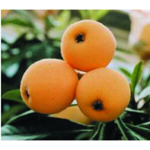 ʎc r y 葁 1Nc z [ f т ʎc ̔ ]