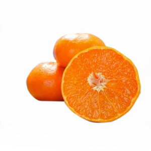 kނ̕c y Ƃ 1Nc z [ G IW 񂫂 JLc k c ]