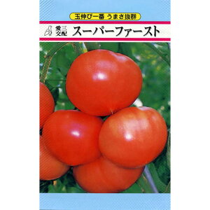 ʃg}g  yX[p[t@[Xgz 30 i   ؎q ؎ j