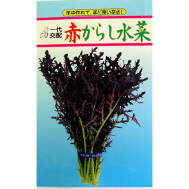 高菜・からし菜 種 【 赤からし水菜 】 小袋（3ml） ( 高菜・からし菜の種 )