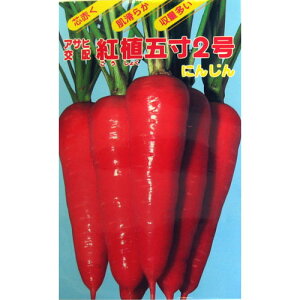 ɂ񂶂  y gAܐ2 z q ܁i8mlj i   ؎q ؎ j