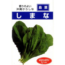 高菜・からし菜 種 【 しまな 】 種子 小袋（約10ml） （ 種 野菜 野菜種子 野菜種 ）