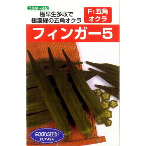 IN  ytBK[5z 10ml i   ؎q ؎ j