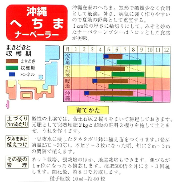楽天市場 へちま 種 沖縄短形へちま 種子 小袋 約10ml 種 野菜 野菜種子 野菜種 菜園くらぶ 家庭菜園の専門店