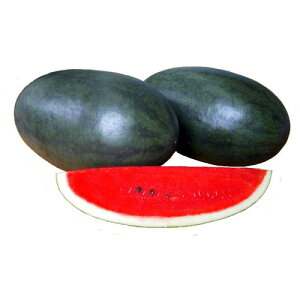 XCJ  ylz 10 i   ؎q ؎ j