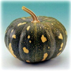 ڂ  y꓇ڂی^z 5ml i   ؎q ؎ j