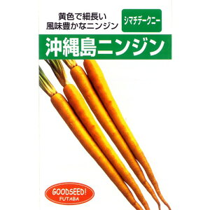 にんじん 種 【 沖縄島ニンジン 】 種子 小袋 ( 種 野菜 野菜種子 野菜種 )