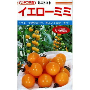 ~jg}g  yCG[~~z R[g600 i   ؎q ؎ j