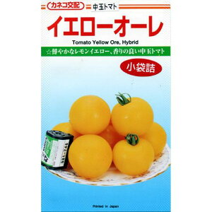 ʃg}g  y CG[I[ z ܁i14j ( ʃg}g̎ )