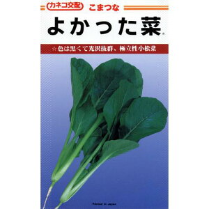   y悩؁z ܁i20mlj i   ؎q ؎ j