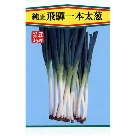 ネギ 種 【 飛騨一本太葱 】 種子 小袋（約5ml） （ 種 野菜 野菜種子 野菜種 ）