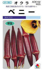 IN  y ԃINxj[ z (GF 115) ( IN̎ )