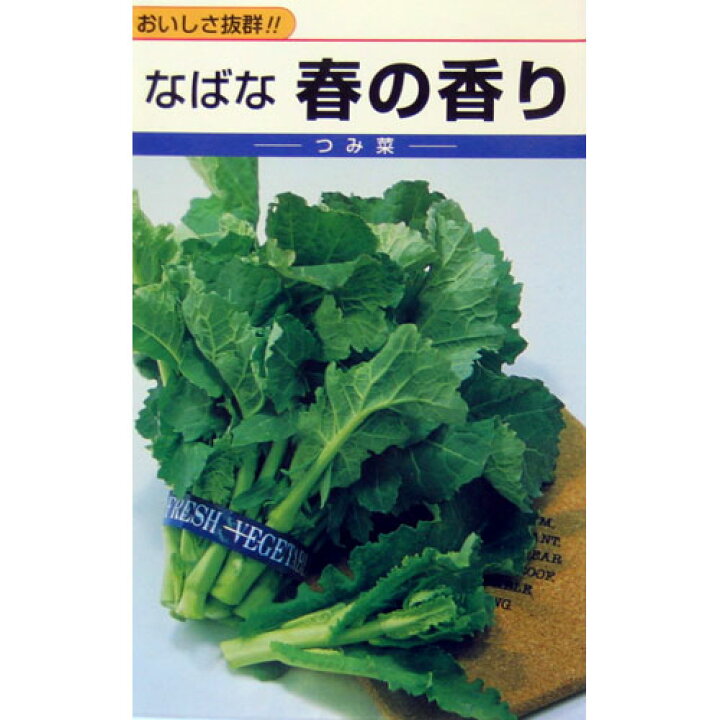 楽天市場 つみ菜 種 なばな春の香り 種子 小袋 約10ml 種 野菜 野菜種子 野菜種 菜園くらぶ 家庭菜園の専門店