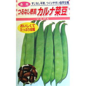 Ȃ񂰂  yJiؓz 30ml i   ؎q ؎ j